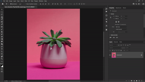 removing background with quick selection tool